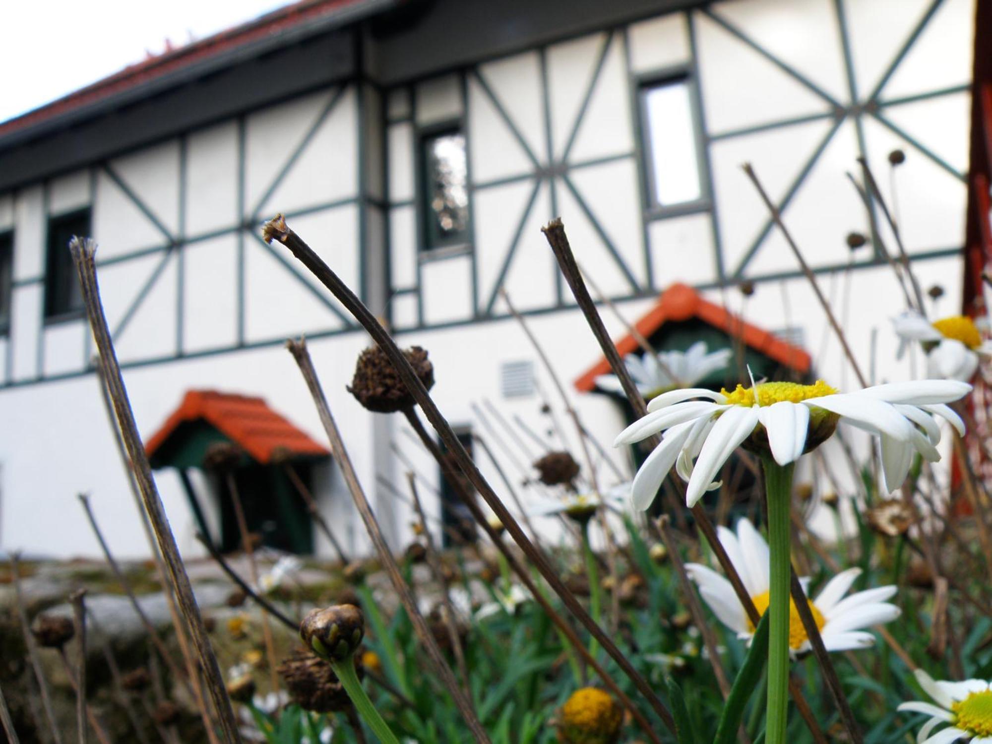 Dom Potok Bed & Breakfast Karpacz Exterior photo